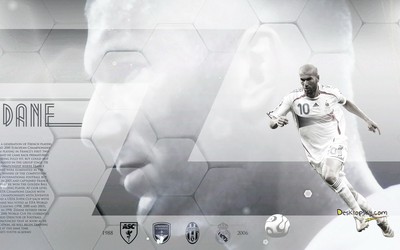 华体会热评-以色列篮球新星拒绝NBA留守国内