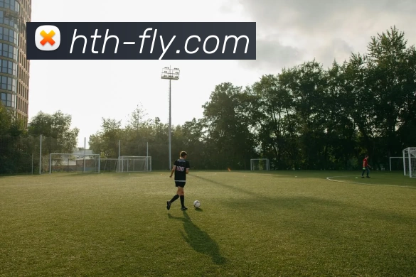 App Interface Preview